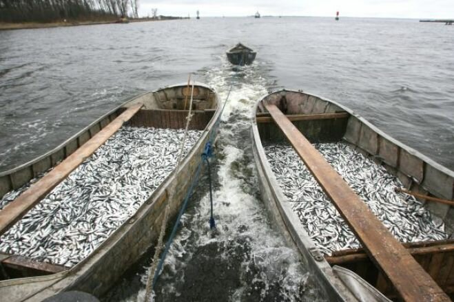 На Камчатке пропала лодка с шестью рыбаками